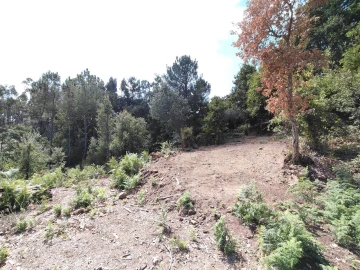 Terreno para Venda em Maçãs de D. Maria