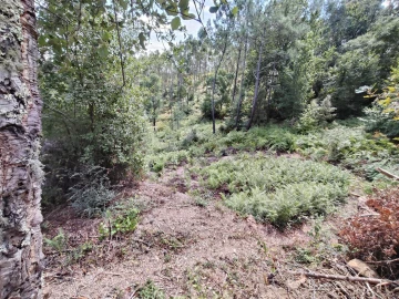 Terreno para Venda em Maçãs de D. Maria