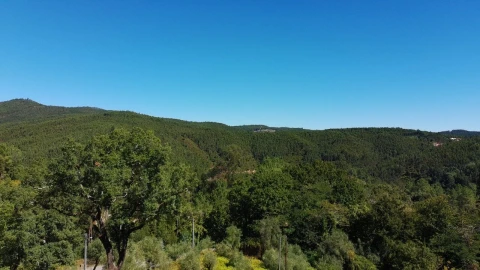 Terreno para Venda em Maçãs de D. Maria