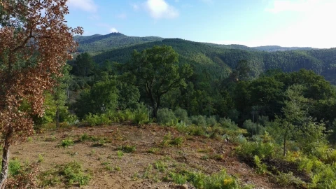 Terreno para Venda em Maçãs de D. Maria