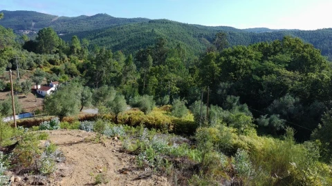 Terreno para Venda em Maçãs de D. Maria