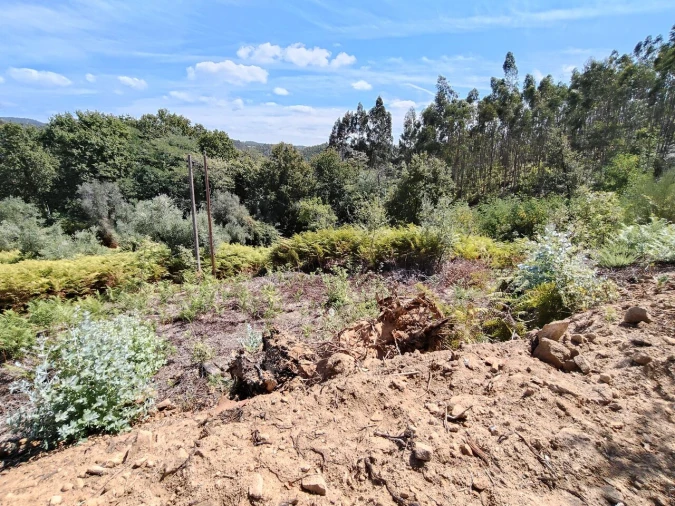 Terreno para Venda em Maçãs de D. Maria Foto 29