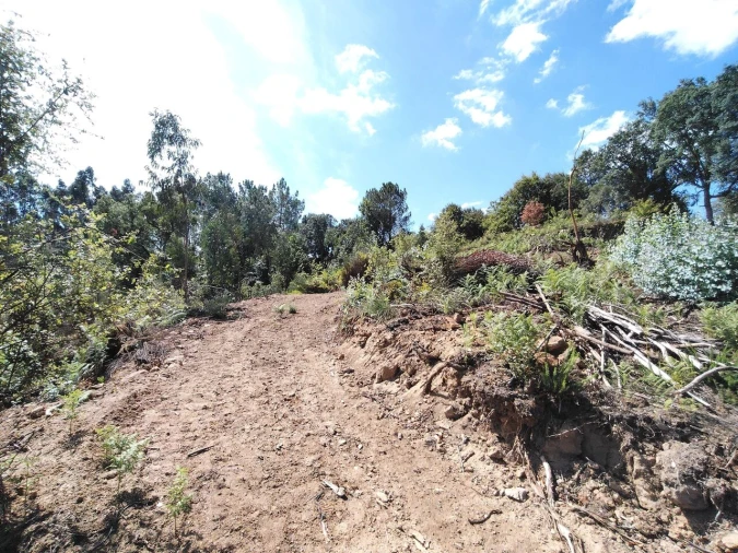 Terreno para Venda em Maçãs de D. Maria Foto 30