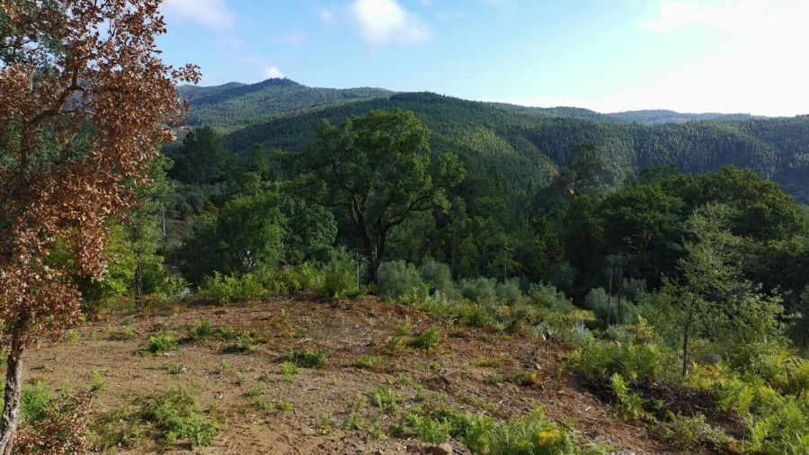 Terreno para Venda em Maçãs de D. Maria Foto 40