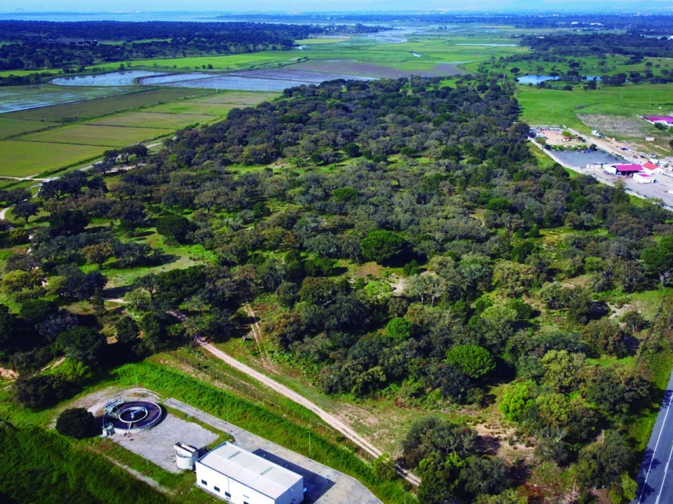 Terreno para Venda em Poceirão e Marateca Foto 5