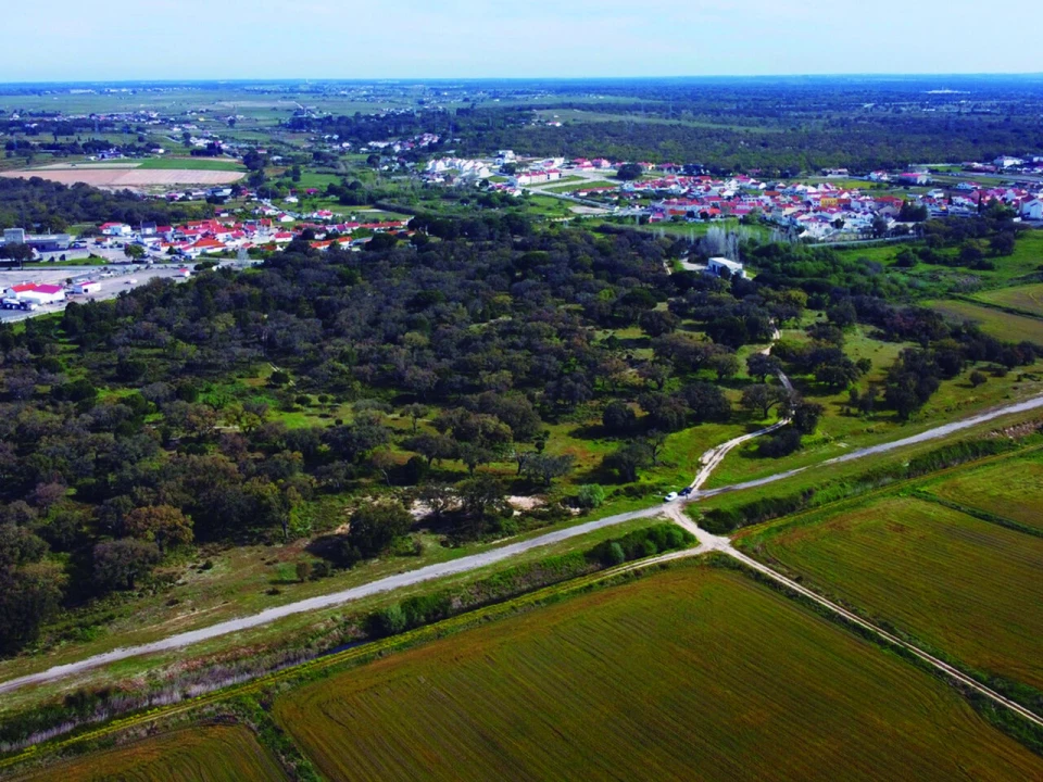 Terreno para Venda em Poceirão e Marateca Foto 6