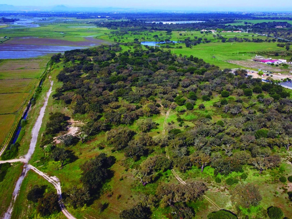 Terreno para Venda em Poceirão e Marateca Foto 7