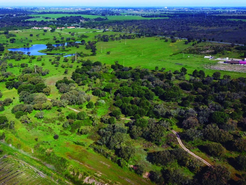 Terreno para Venda em Poceirão e Marateca Foto 4