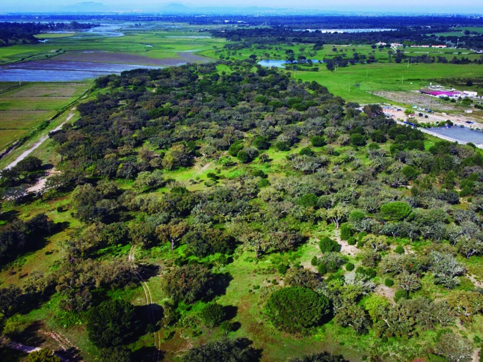 Terreno para Venda em Poceirão e Marateca Foto 9