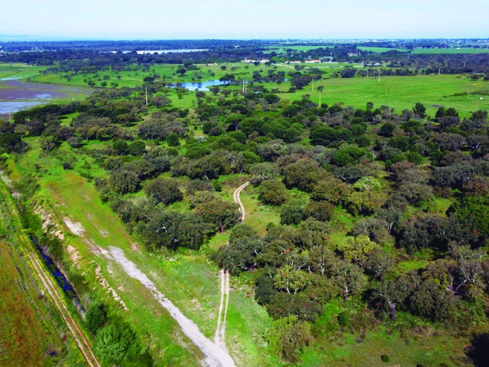 Terreno para Venda em Poceirão e Marateca Foto 10