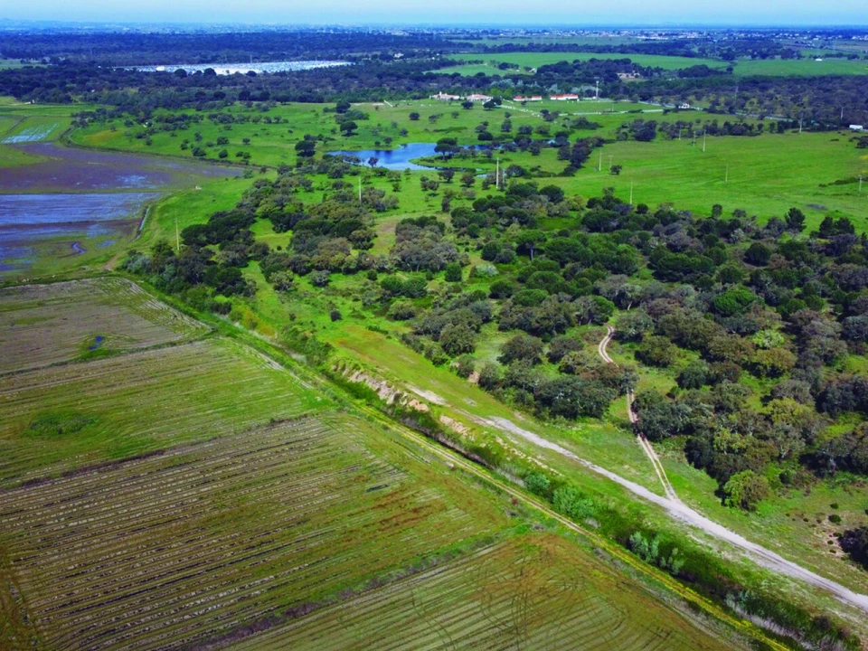 Terreno para Venda em Poceirão e Marateca Foto 11
