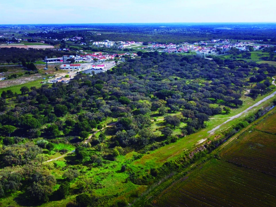 Terreno para Venda em Poceirão e Marateca Foto 12