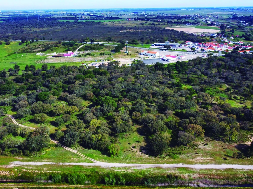 Terreno para Venda em Poceirão e Marateca Foto 13
