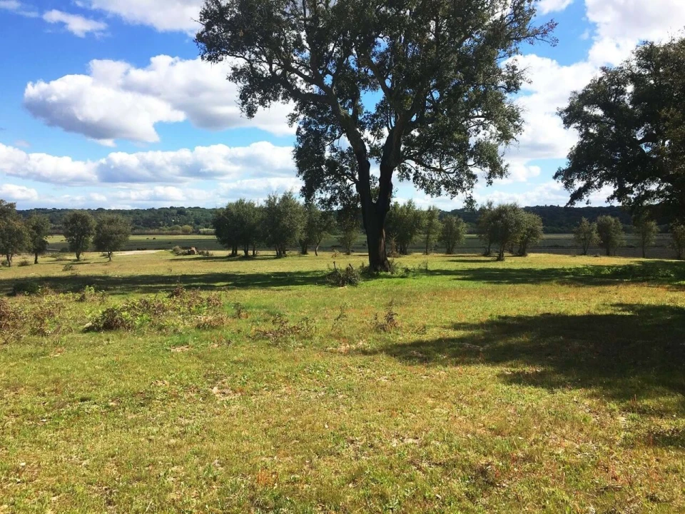 Terreno para Venda em Poceirão e Marateca Foto 23