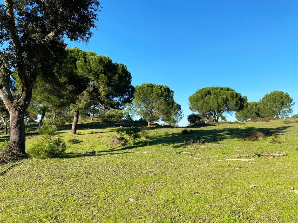 Terreno para Venda em Poceirão e Marateca Foto 3