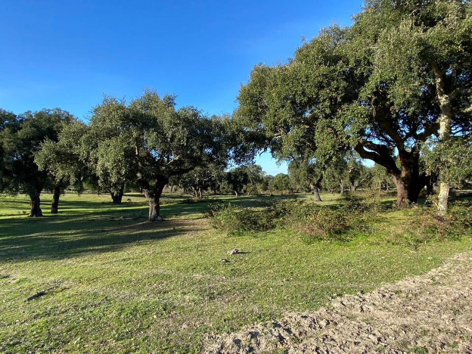 Terreno para Venda em Poceirão e Marateca Foto 25