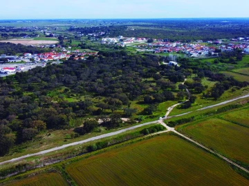Terreno para Venda em Poceirão e Marateca