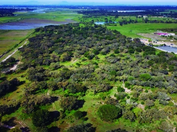 Terreno para Venda em Poceirão e Marateca