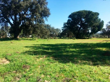 Terreno para Venda em Poceirão e Marateca