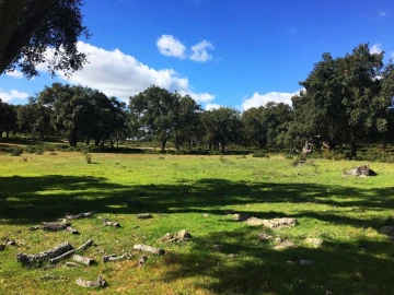 Terreno para Venda em Poceirão e Marateca