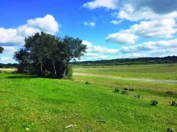 Terreno para Venda em Poceirão e Marateca