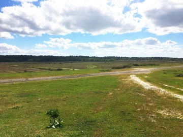 Terreno para Venda em Poceirão e Marateca
