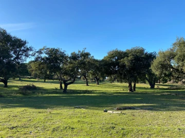 Terreno para Venda em Poceirão e Marateca