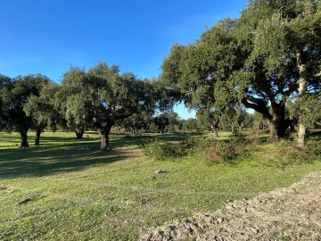 Terreno para Venda em Poceirão e Marateca