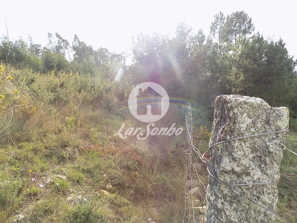 Terreno Agricola ou Rústico para Venda em Arnoso (Santa Maria e Santa Eulália) e Sezures Foto 4