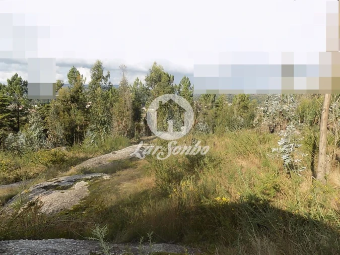 Terreno Agricola ou Rústico para Venda em Arnoso (Santa Maria e Santa Eulália) e Sezures Foto 1