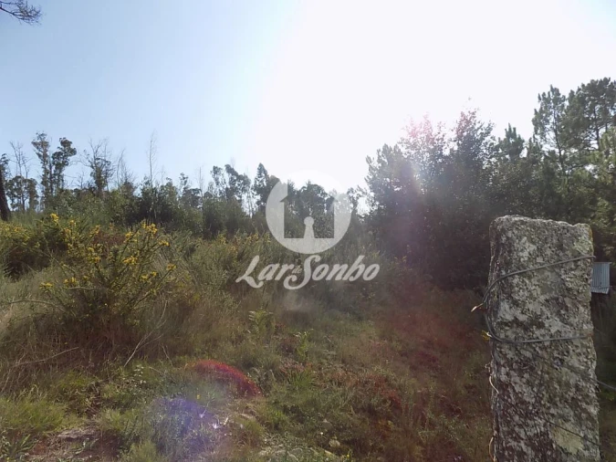 Terreno Agricola ou Rústico para Venda em Arnoso (Santa Maria e Santa Eulália) e Sezures Foto 3