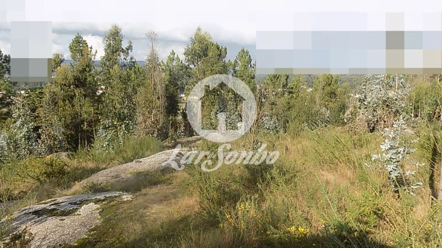 Terreno Agricola ou Rústico para Venda em Arnoso (Santa Maria e Santa Eulália) e Sezures