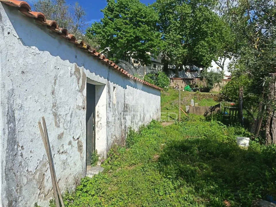 Moradia T5 para Venda em Ribeira de Nisa e Carreiras Foto 19