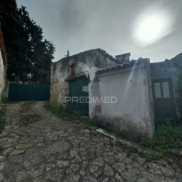 Moradia T6 para Venda em Lamas e Cercal Foto 15
