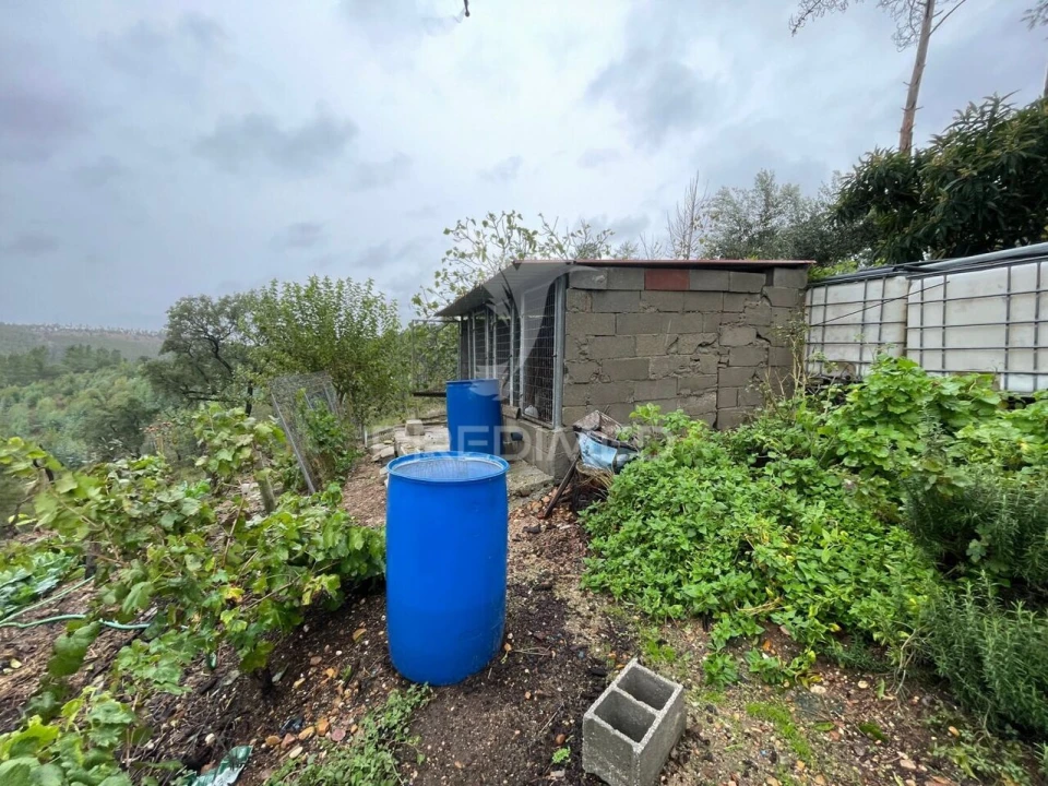 Quinta T0 para Venda em São Miguel do Rio Torto e Rossio Ao Sul do Tejo Foto 3