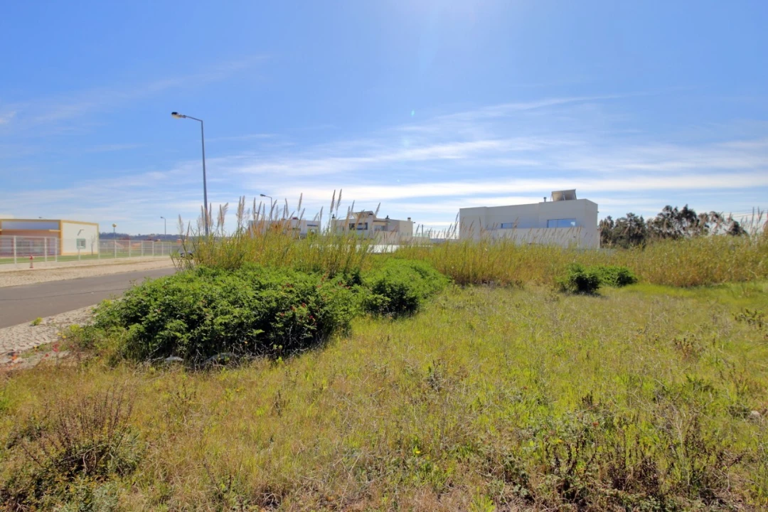 Terreno para Venda em Tornada e Salir do Porto Foto 2