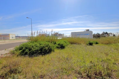 Terreno para Venda em Tornada e Salir do Porto