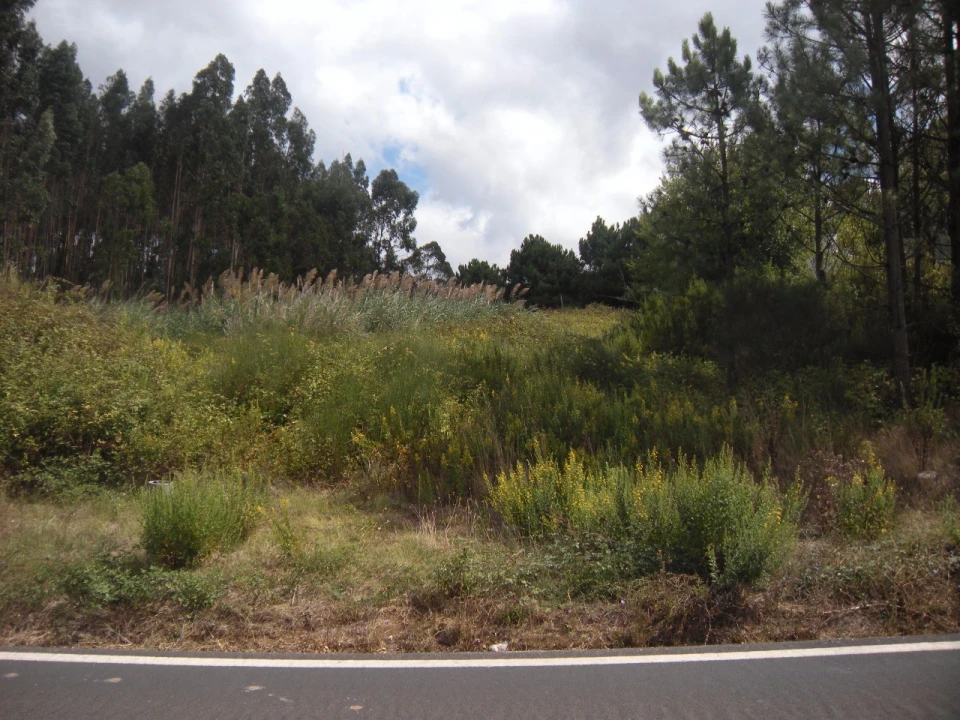 Terreno para Venda em Vidais Foto 1