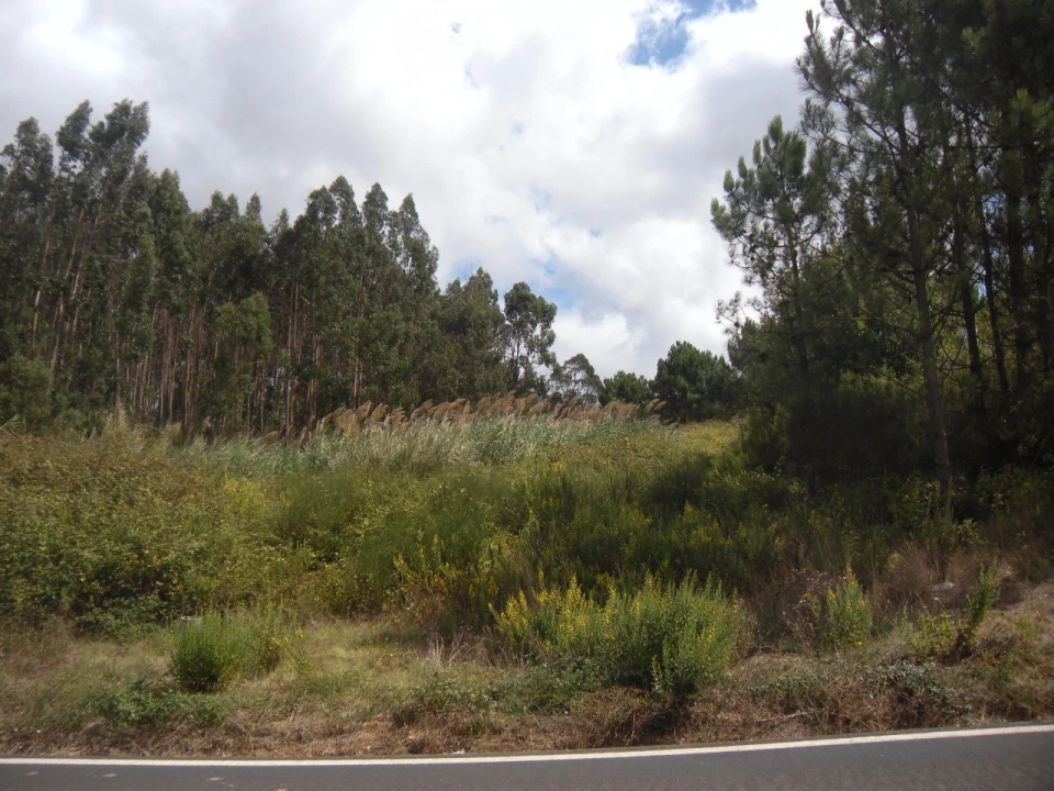 Terreno para Venda em Vidais Foto 2
