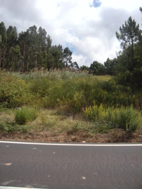 Terreno para Venda em Vidais