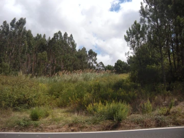 Terreno para Venda em Vidais