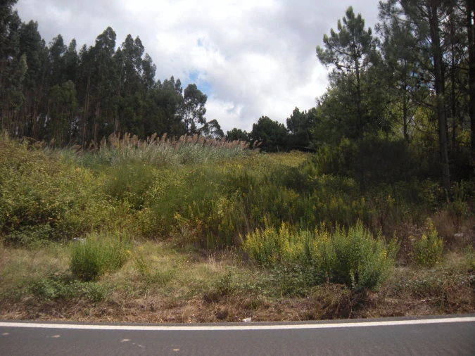 Terreno para Venda em Vidais