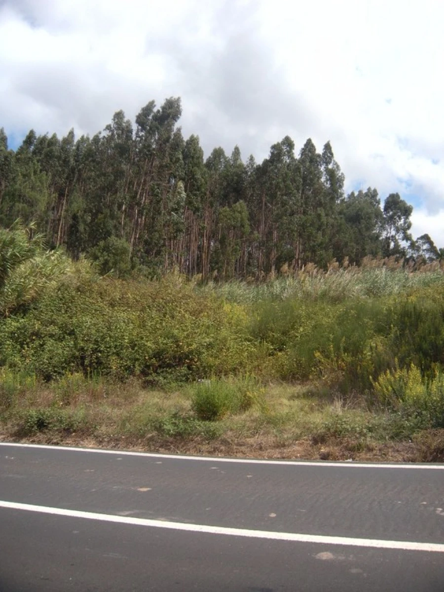 Terreno para Venda em Vidais Foto 4