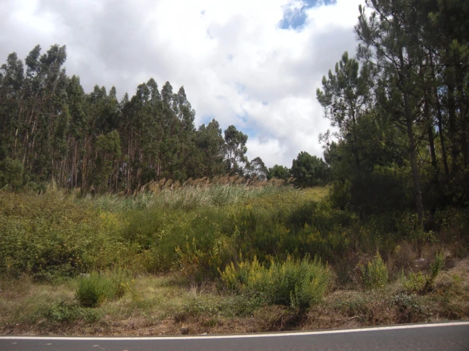 Terreno para Venda em Vidais Foto 2