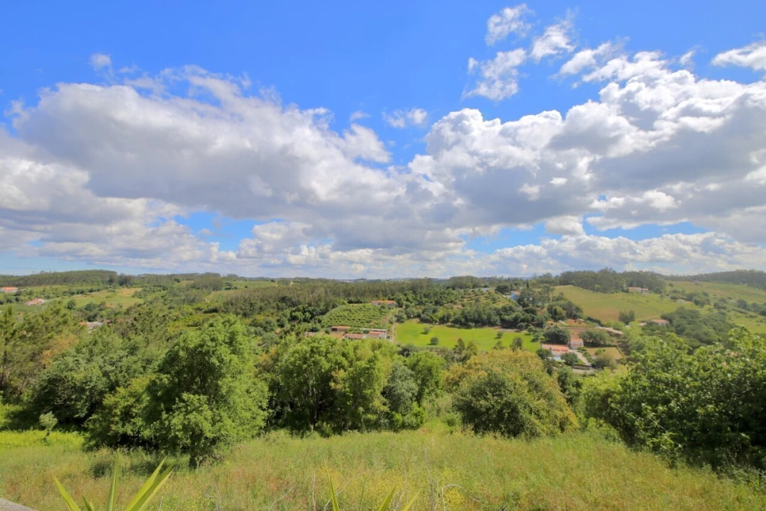 Armazém para Venda em Vidais Foto 6