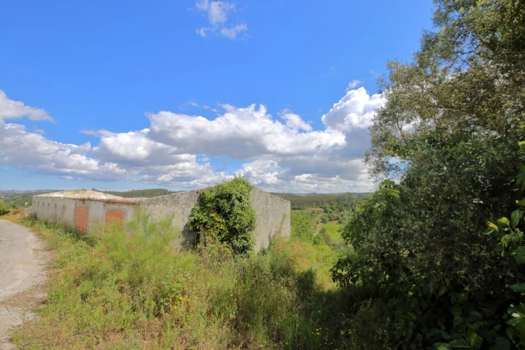 Armazém para Venda em Vidais Foto 3