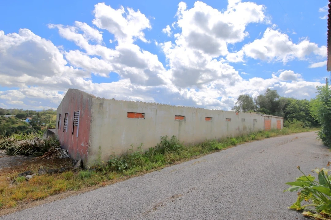 Armazém para Venda em Vidais Foto 1