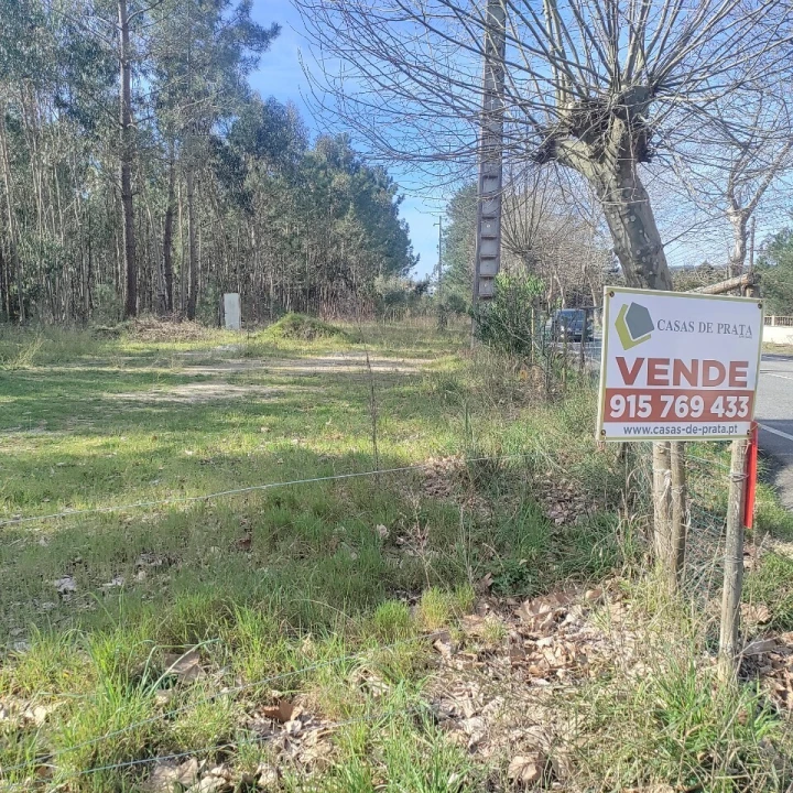 Terreno para Venda em Nadadouro Foto 7