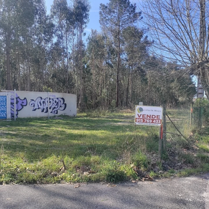 Terreno para Venda em Nadadouro Foto 10