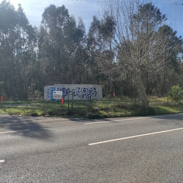 Terreno para Venda em Nadadouro Foto 12